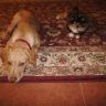 DSC00513.JPG