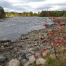 photo_00270.jpg