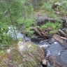 IMG_0272.jpg