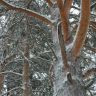 photo_00362.jpg
