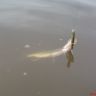 DSC02221.JPG