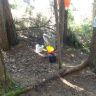 DSC02647.JPG