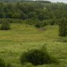 DSCN0974.JPG