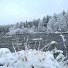 photo_00382.jpg
