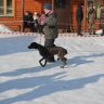 IMG_2983.JPG