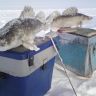 DSC01575.JPG