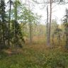 SDC10028.JPG
