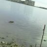 IMG_20140617_070901.jpg