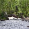 DSC03017.JPG