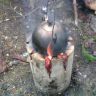 DSC00632.JPG