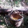 20170810_101635.jpg