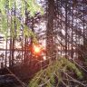 photo_00016.jpg