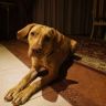 DSC00438.JPG