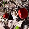 20180509_095030.jpg
