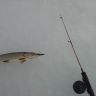 20131225_153734.jpg