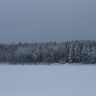 IMG_8898.JPG