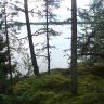 DSC02978.JPG