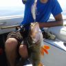 20140727_142429.jpg