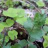 20180509_071927.jpg