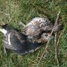 DSC03640.JPG