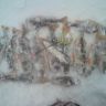 DSC00240.JPG