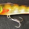 China Perch
