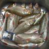 DSCN5770.JPG