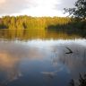 IMG_5338.JPG