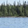 IMG_0607.JPG