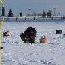 DSC03597.JPG