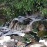 photo_00193.jpg
