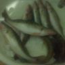 12032011069.JPG