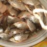 DSC09334.JPG