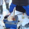 DSC03003.JPG