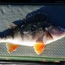 20141024_143358.jpg