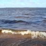DSC02584.JPG
