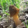 20180514_085144.jpg