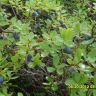 photo_00015.jpg