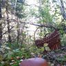 20140906_110955.jpg