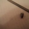DSC01093.JPG