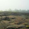SDC12023.JPG
