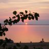 DSC07744.JPG
