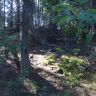 DSC01727.JPG