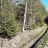 20180509_071405.jpg