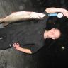 IMG_2253.JPG