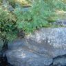 DSC03674.JPG