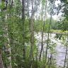 photo_00345.jpg