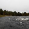 20160924_101212.jpg