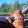 IMG_20130616_080509.jpg