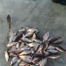 IMG_20140322_182929.jpg